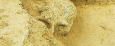 Un cranio umano di un milione di anni trovato in Cina rivela inediti segreti evolutivi