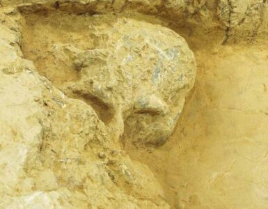 Un cranio umano di un milione di anni trovato in Cina rivela inediti segreti evolutivi