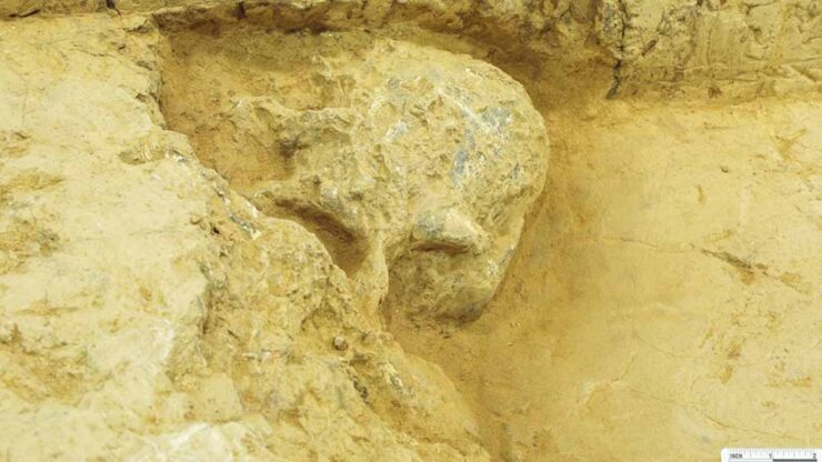 Un cranio umano di un milione di anni trovato in Cina rivela inediti segreti evolutivi