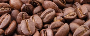 Caffè Quiz: una tazzina di energia e sei brevi domande per iniziare al meglio la giornata