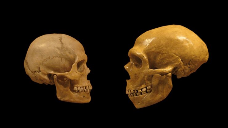 Come delle ossa ritrovate in una cavità profonda 8 metri potrebbero cambiare la storia umana in Europa