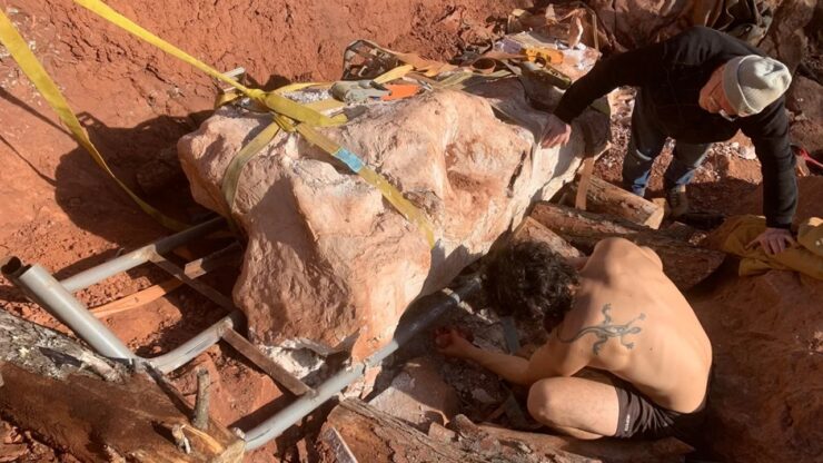 la Francia dei dinosauri rare evidenze risalenti a 70 milioni di anni fa nei pressi di Montouliers