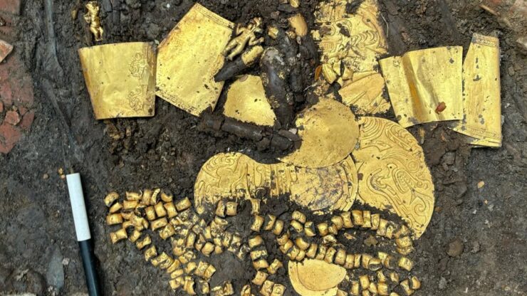 Oro e vittime sacrificali riaffiora la tomba di un antico signore a Panama