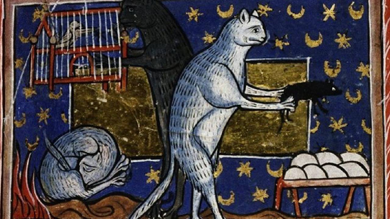 Gatti in una raffigurazione medievale.