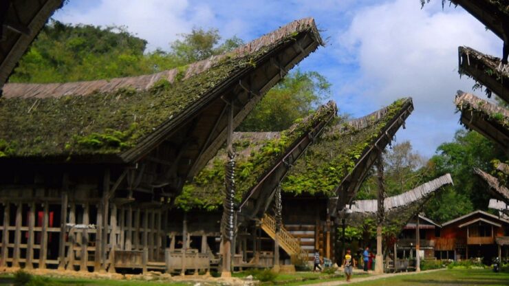 il culto dei morti dei toraja:vivere affianco al passato