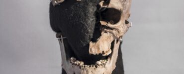 Uomo di Vittrup immagine cranio
