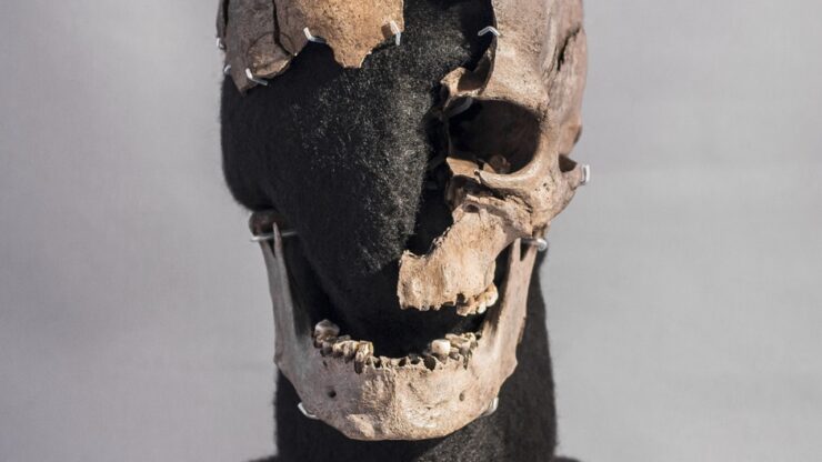 Uomo di Vittrup immagine cranio