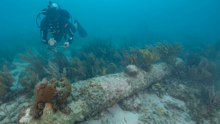 HMS Tyger foto reperto