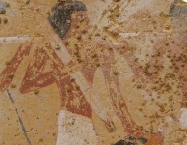 tomba egizia foto decorazioni