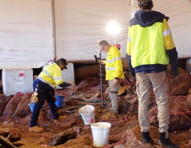 diavolo della Tasmania foto scavi