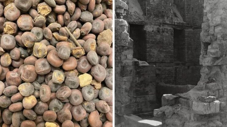 karanis insediamento greco romano