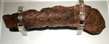 La coprolite di York quando le feci hanno più valore di un gioiello