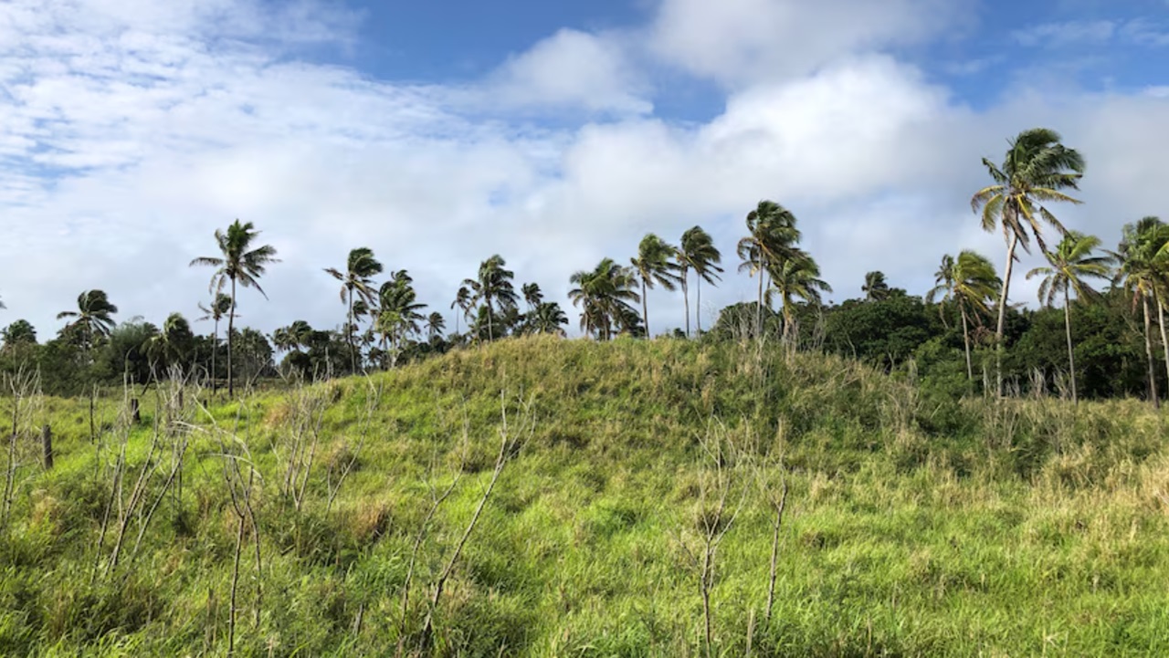 Tonga foto posto