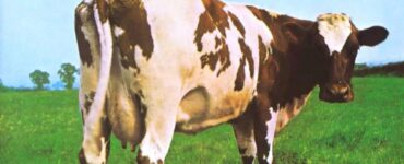 Foto del giorno: i Pink Floyd, una mucca e la ricerca della semplicità