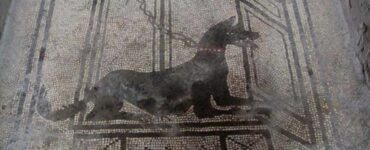 cane immagine mosaico romano