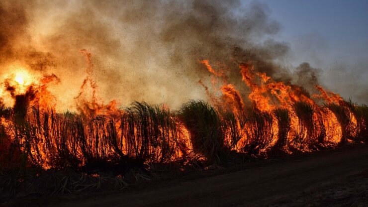 incendio