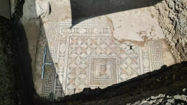 mosaico splendido ritrovamento