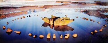 Seahenge foto laguna