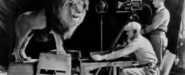 Foto del giorno: il leone più famoso del mondo