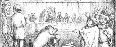 Una scrofa a processo: accadeva nella Francia del XV secolo