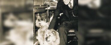 jofi freud