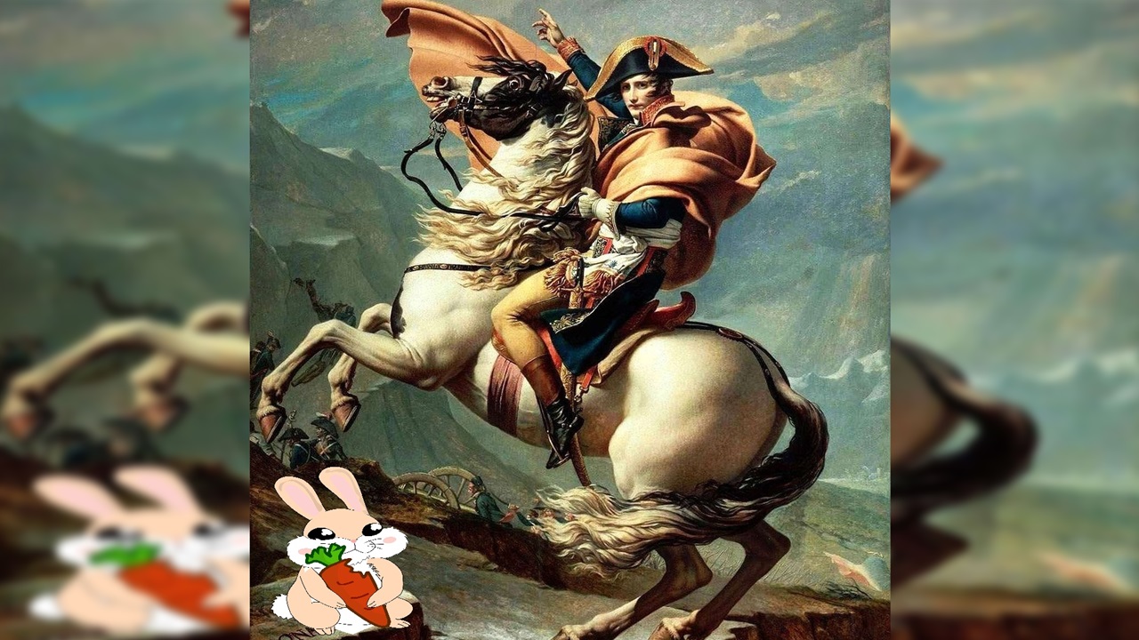 napoleone conigli