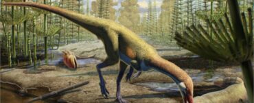 nuova specie dinosauro