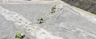 orme dinosauro