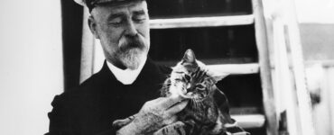 Gatti di bordo, i migliori amici dei marinai