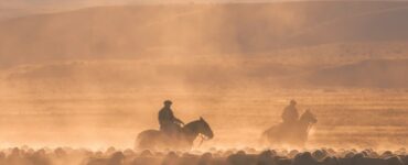 Gaucho: cavaliere errante della Pampa sudamericana