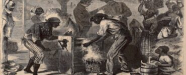 14 marzo foto cotton gin in azione