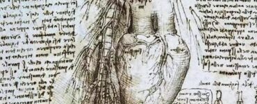 Anatomia e funzionamento del cuore secondo il genio di Leonardo da Vinci