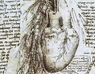 Anatomia e funzionamento del cuore secondo il genio di Leonardo da Vinci