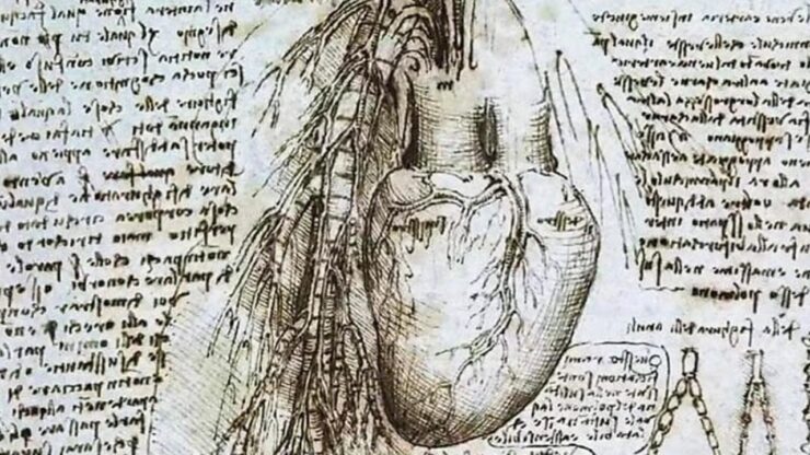 Anatomia e funzionamento del cuore secondo il genio di Leonardo da Vinci