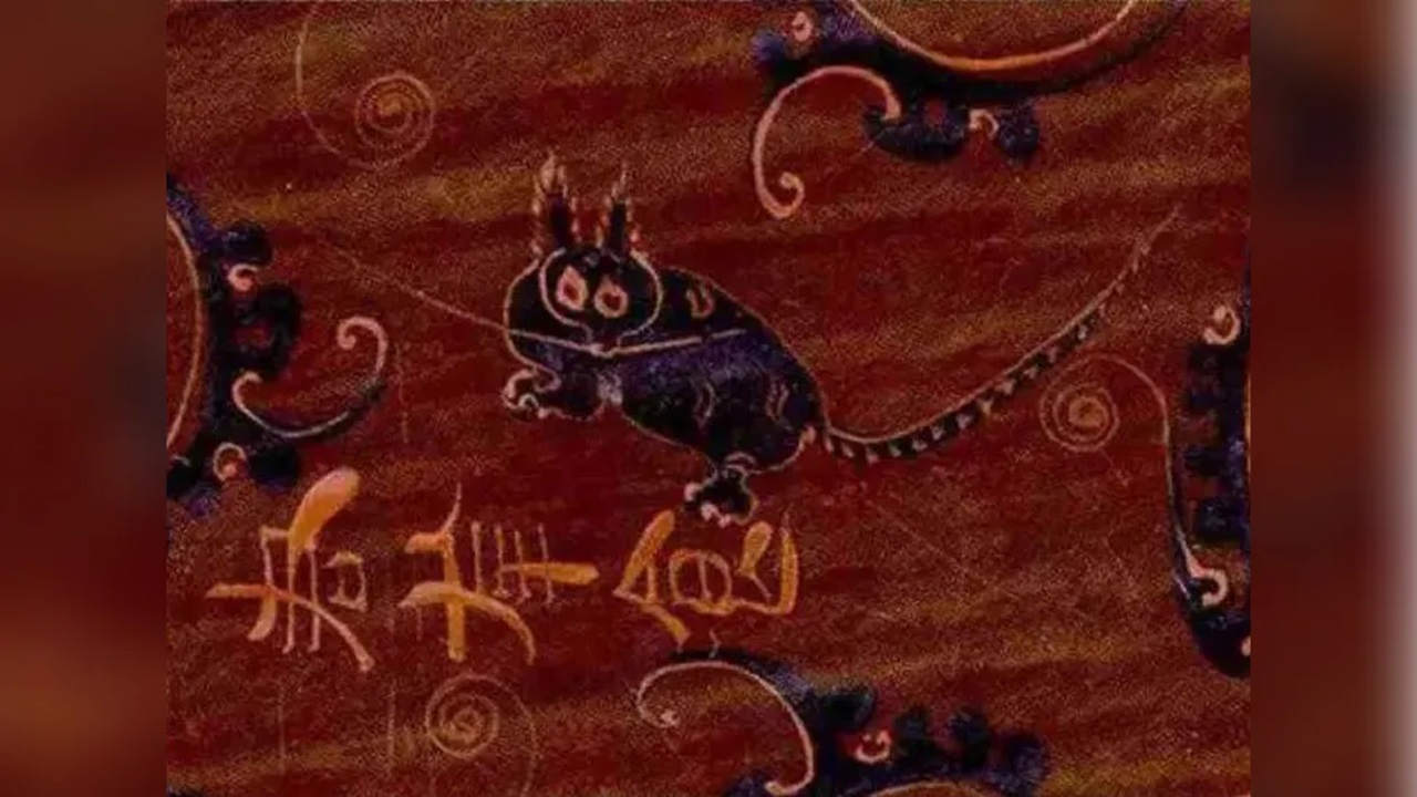 gatti cina