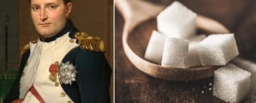 Napoleone e lo zucchero: un binomio che ha "rivoluzionato" l'ambito culinario europeo