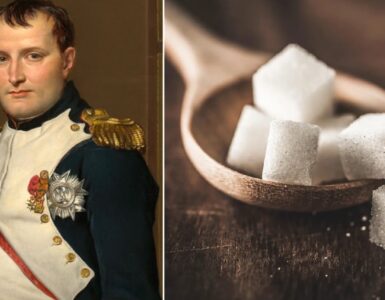 Napoleone e lo zucchero: un binomio che ha "rivoluzionato" l'ambito culinario europeo