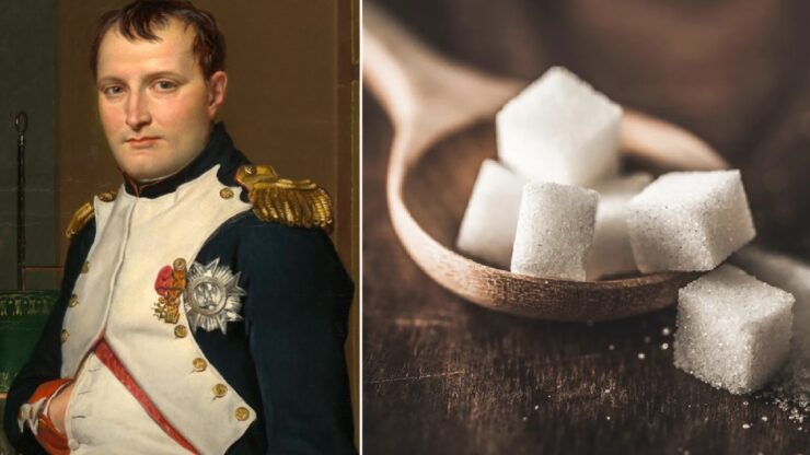 Napoleone e lo zucchero: un binomio che ha "rivoluzionato" l'ambito culinario europeo
