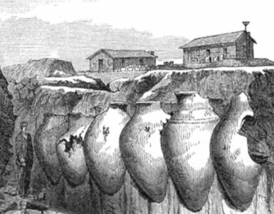 troia vino