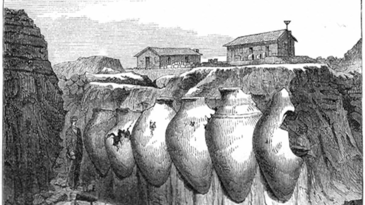 troia vino