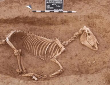 cimitero