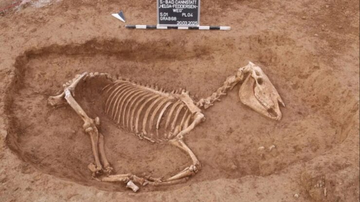 cimitero