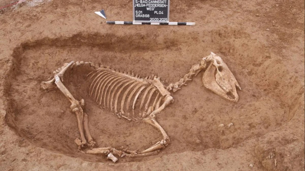 cimitero