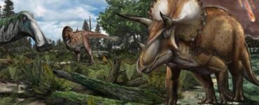 dinosauri asteroide