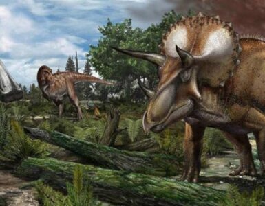 dinosauri asteroide