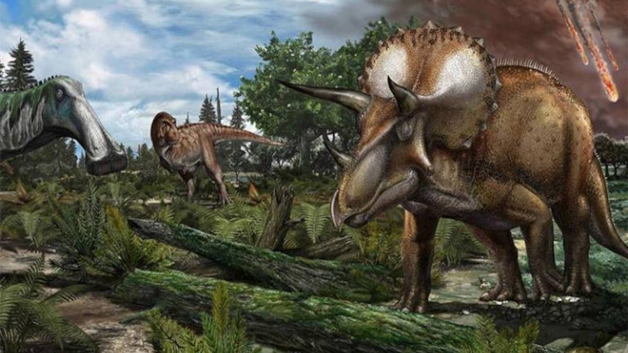 dinosauri asteroide