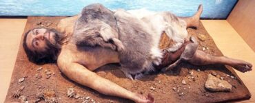 estinzione neanderthal