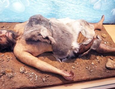 estinzione neanderthal