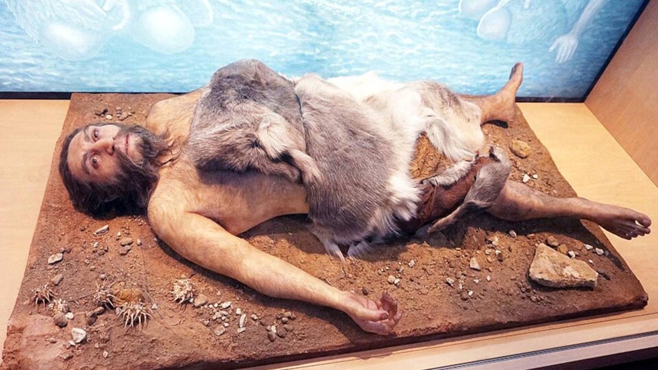 estinzione neanderthal