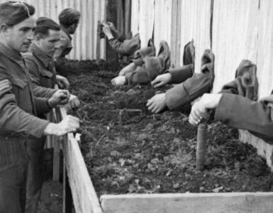 Foto del giorno: disinnescare mine "alla cieca"